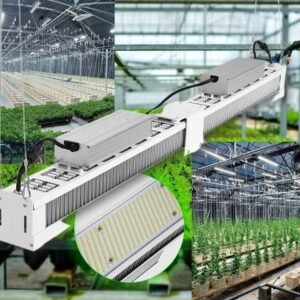 Greenhouse LED Grow Lights